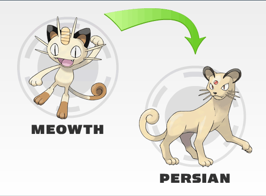evolucion-de-meowth-todos-los-trucos-evolucion